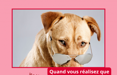 Recherche d'un job d'été avec 2arh